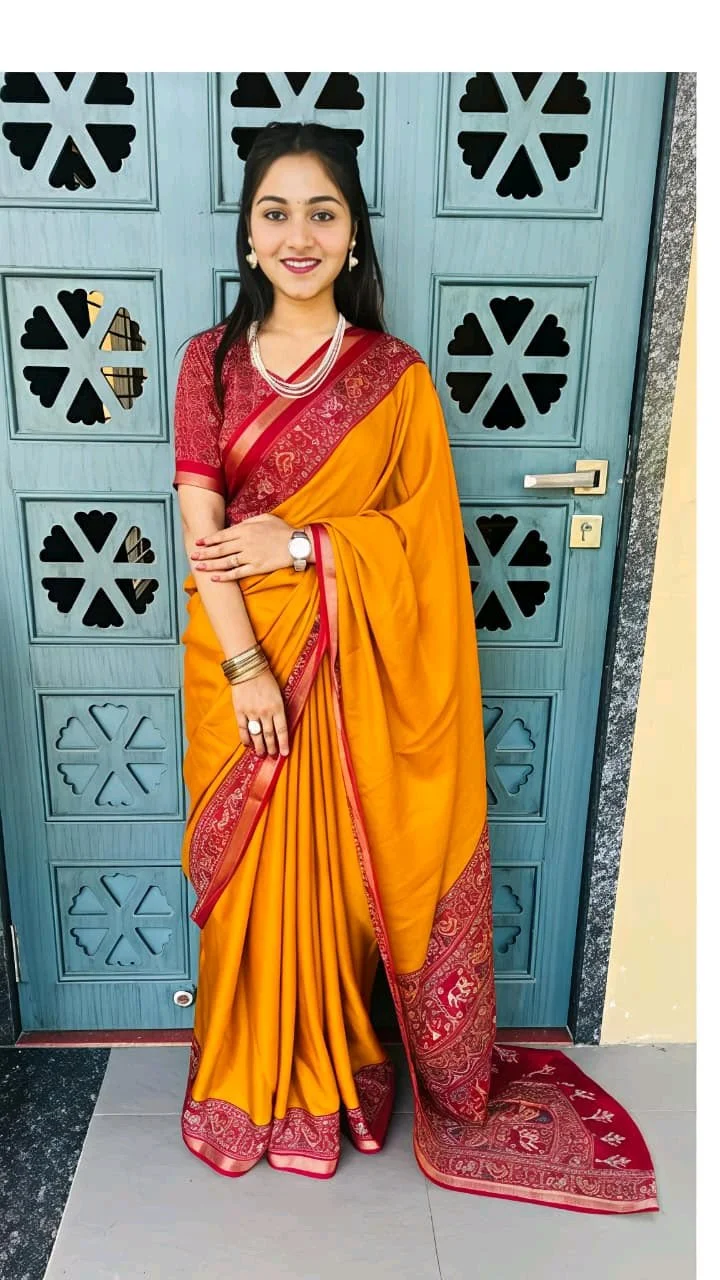 Ajrakh Patola Saree 7