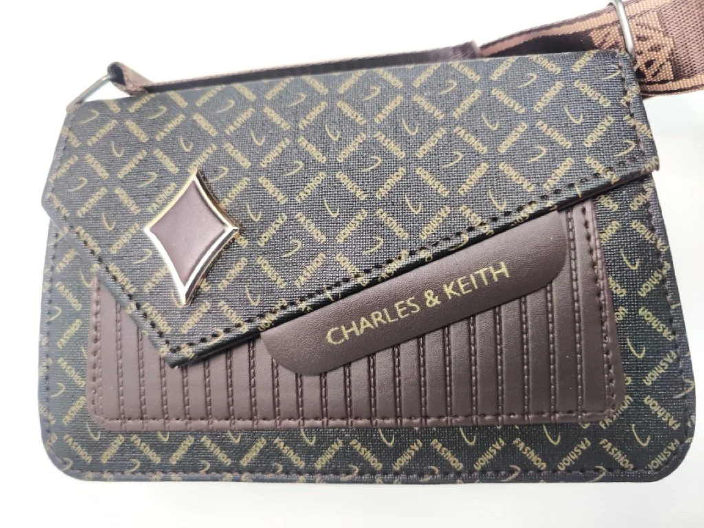 Charles & Keith Style Brown Patterned Flap Sling Bag