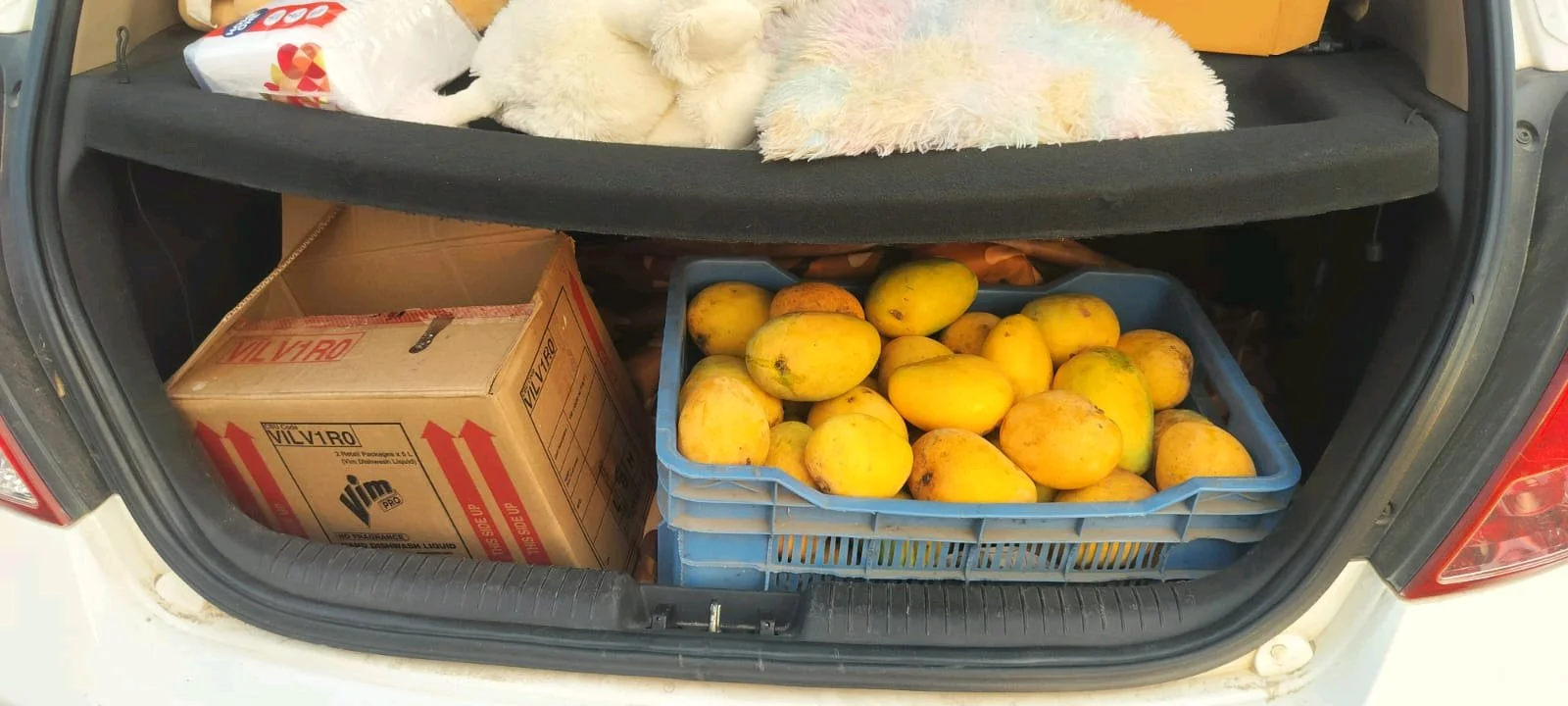 Fresh Alphonso Mangoes Premium Quality thumbnail 1