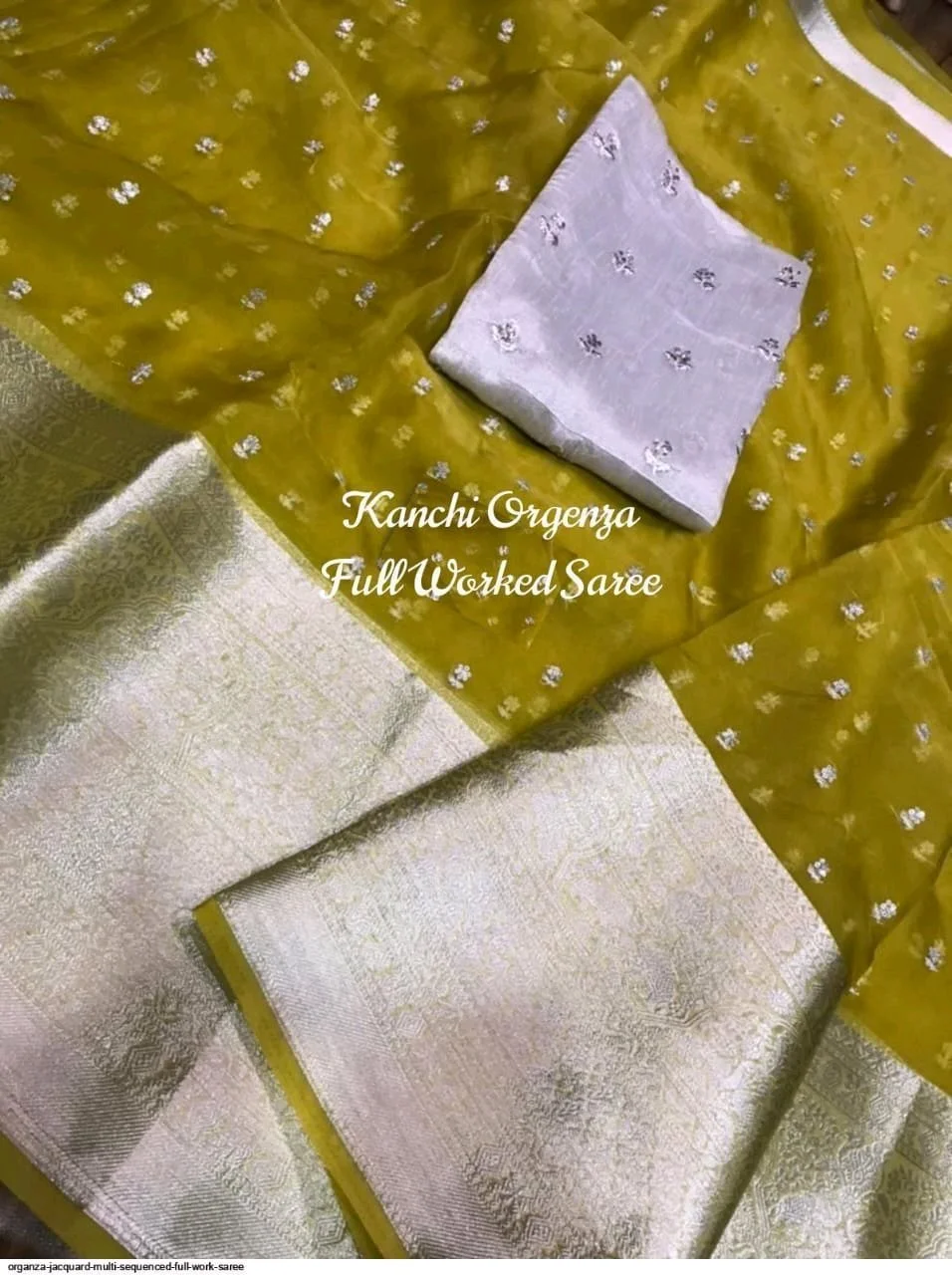 Kanchi Organza Full Worked Saree thumbnail 8