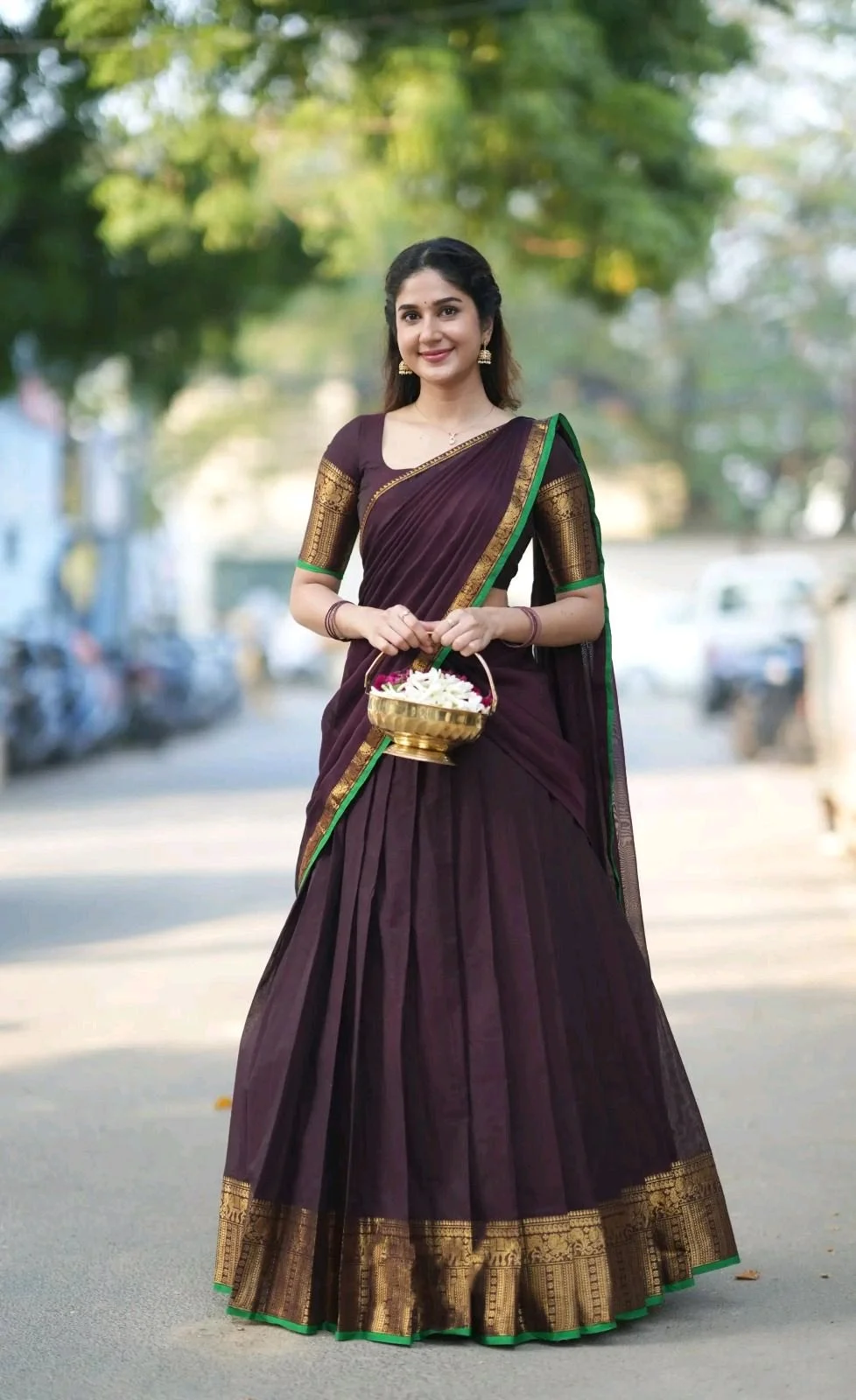 Plum Pleated Lehenga Choli Set with Elephant Zari Border 5
