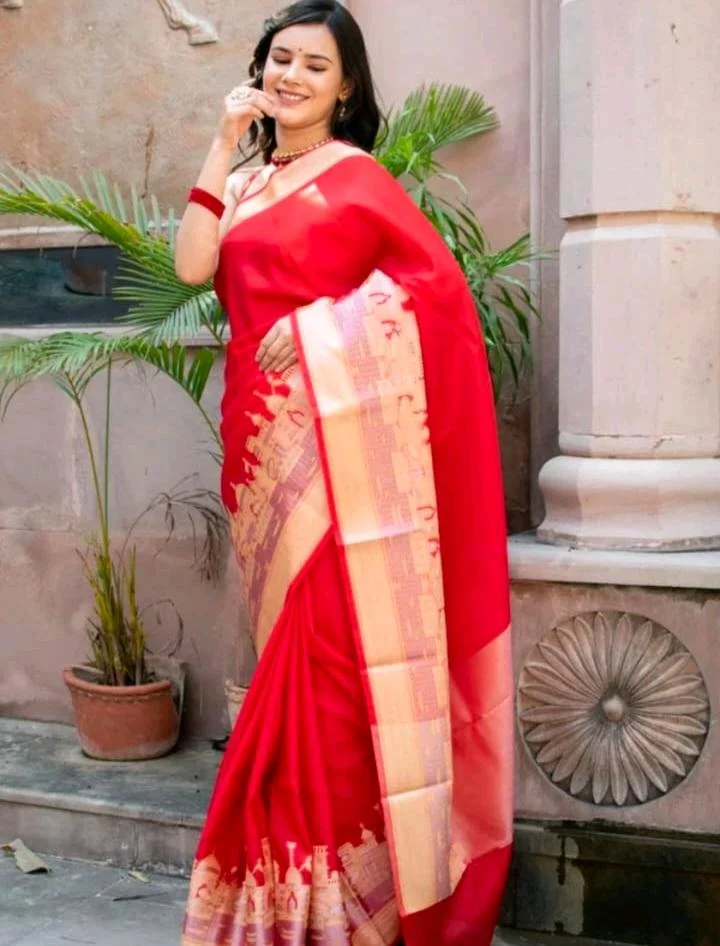 Banarasi Saree 5
