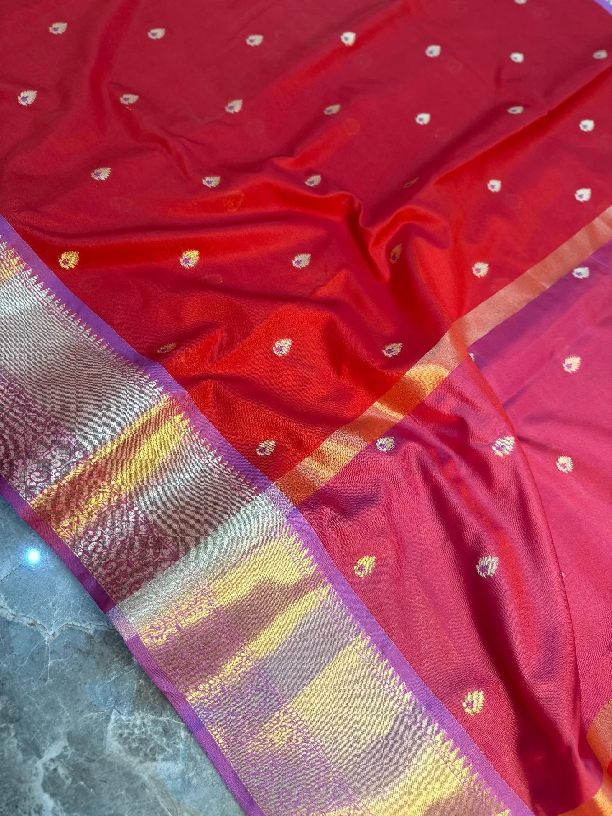 saree thumbnail 5