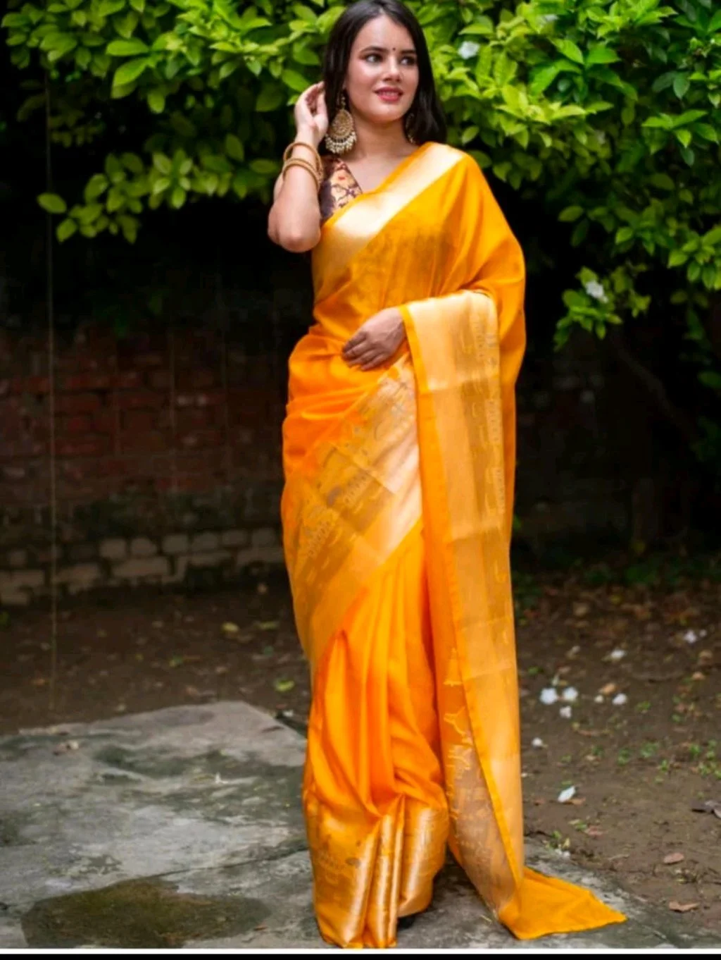 Banarasi Saree 7