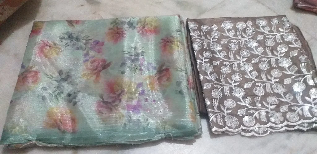 Light Green Floral Organza Saree with Embroidered Blouse Piece