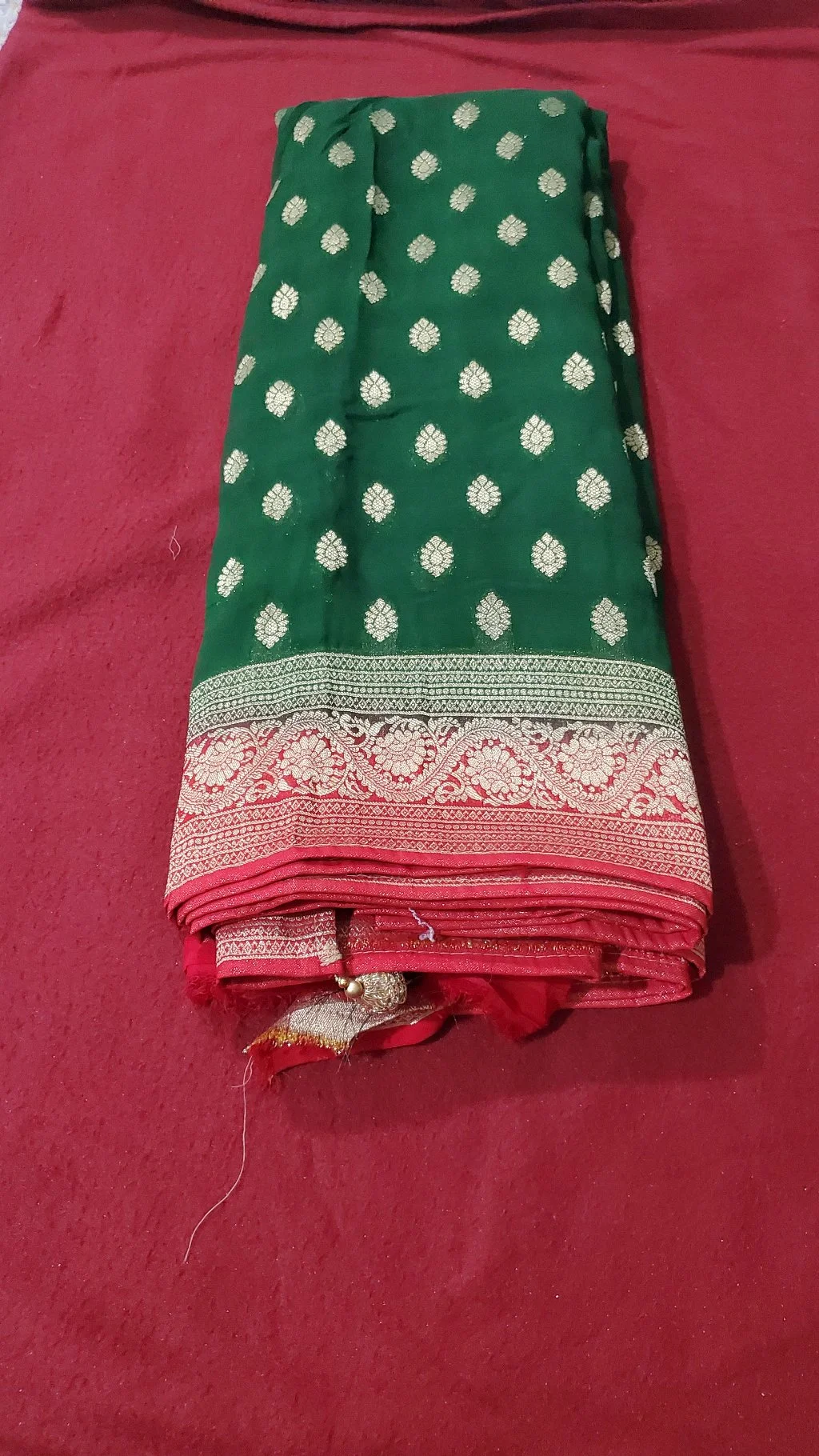 Green Georget Saree with Gold Zari Motifs and Red Border 1
