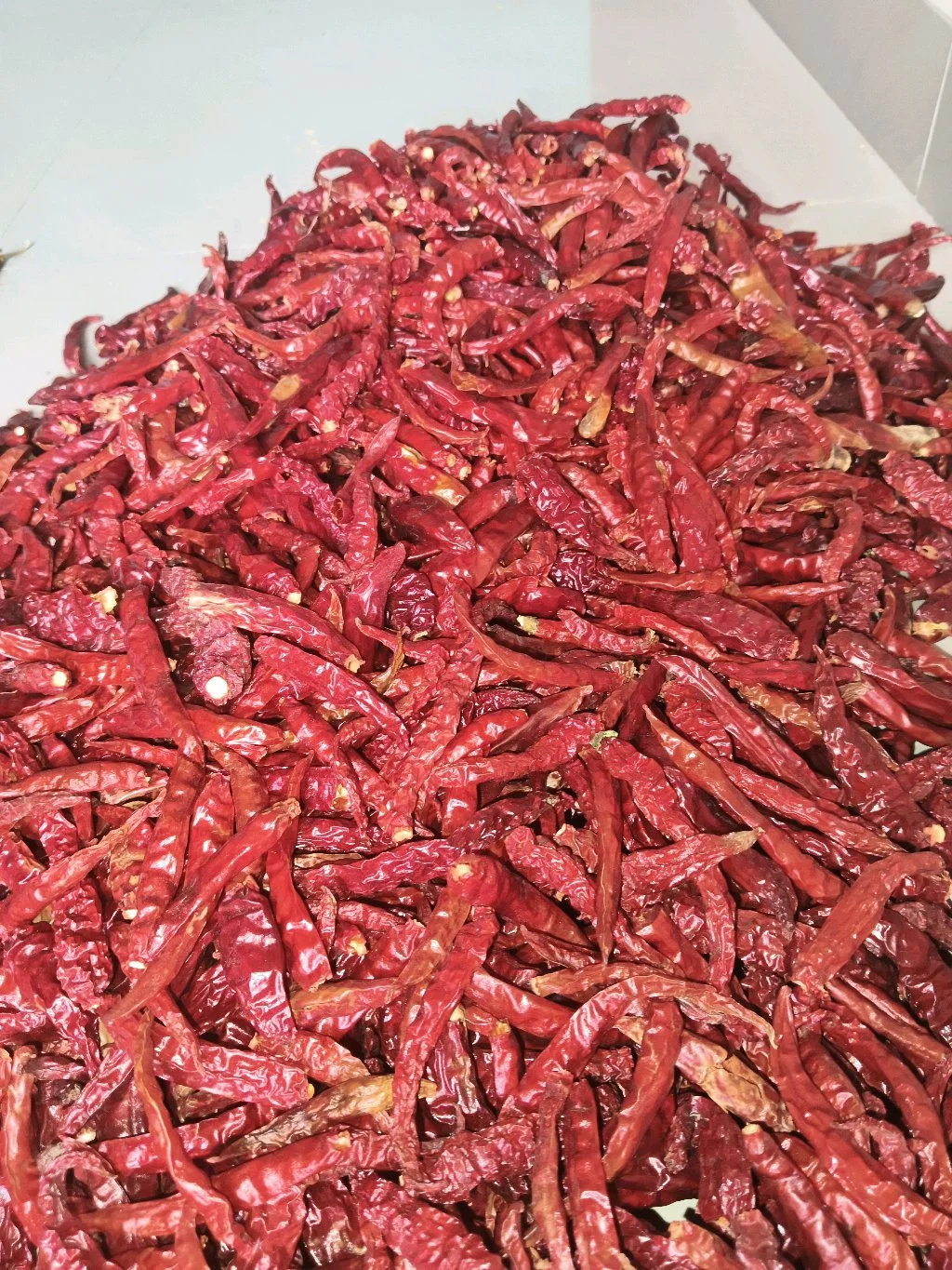Whole Dried Red Chillie Powder