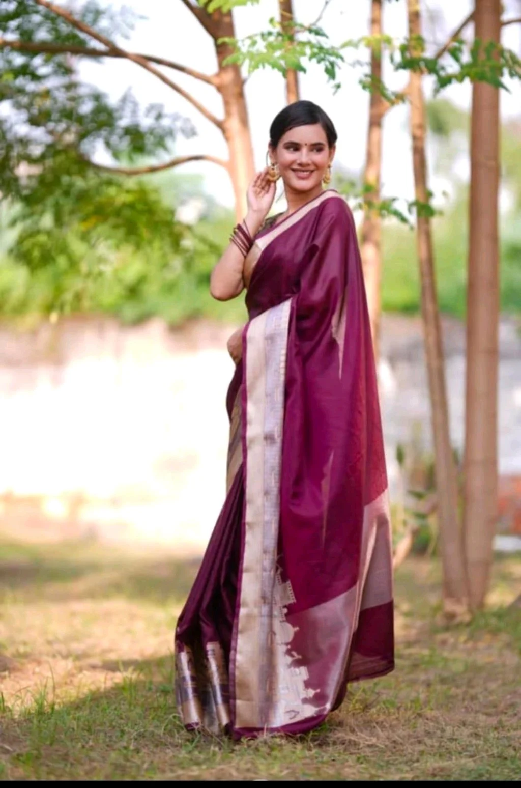 Banarasi Saree 6